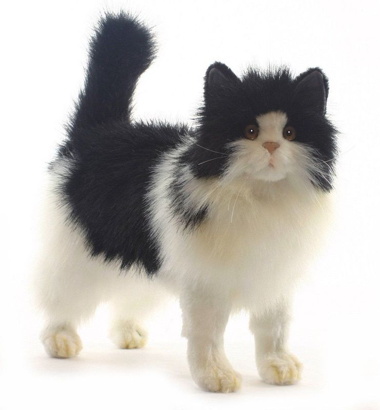 Hansa - Perzische Kat/Poets Knuffel - Zwart/Wit - 40 cm - Pluche - Realistisch