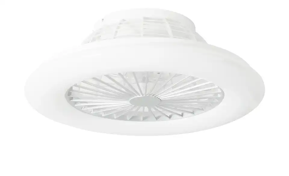 Deckenventilator / Deckenleuchte
