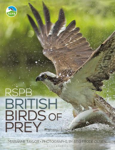 RSPB British Birds of Prey - RSPB (Hardback)