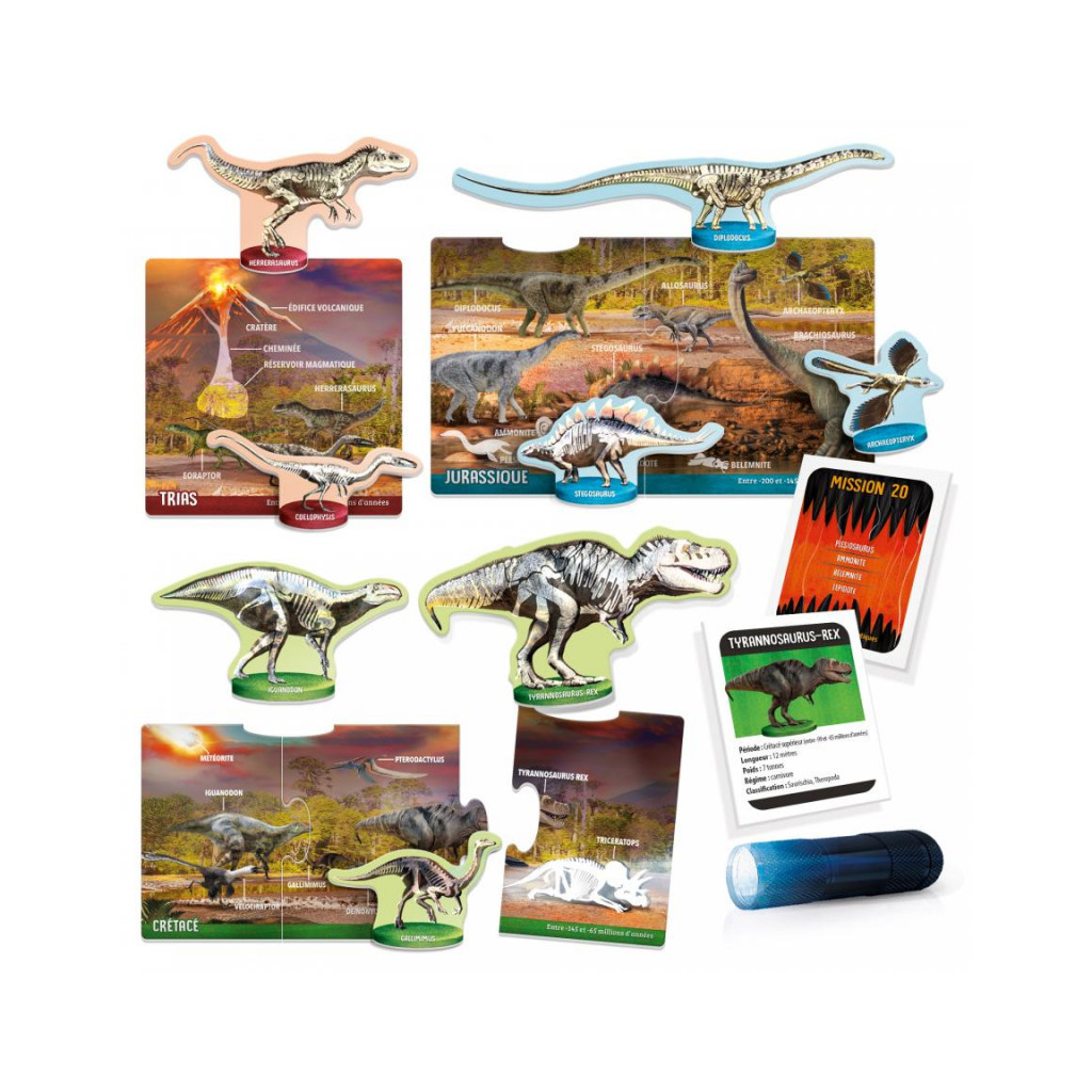 Dinosaures aux Rayons X
