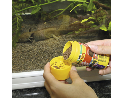 Korrelvoer JBL PRONOVO LOTL GRANO S 100 ml Click Axolotl
