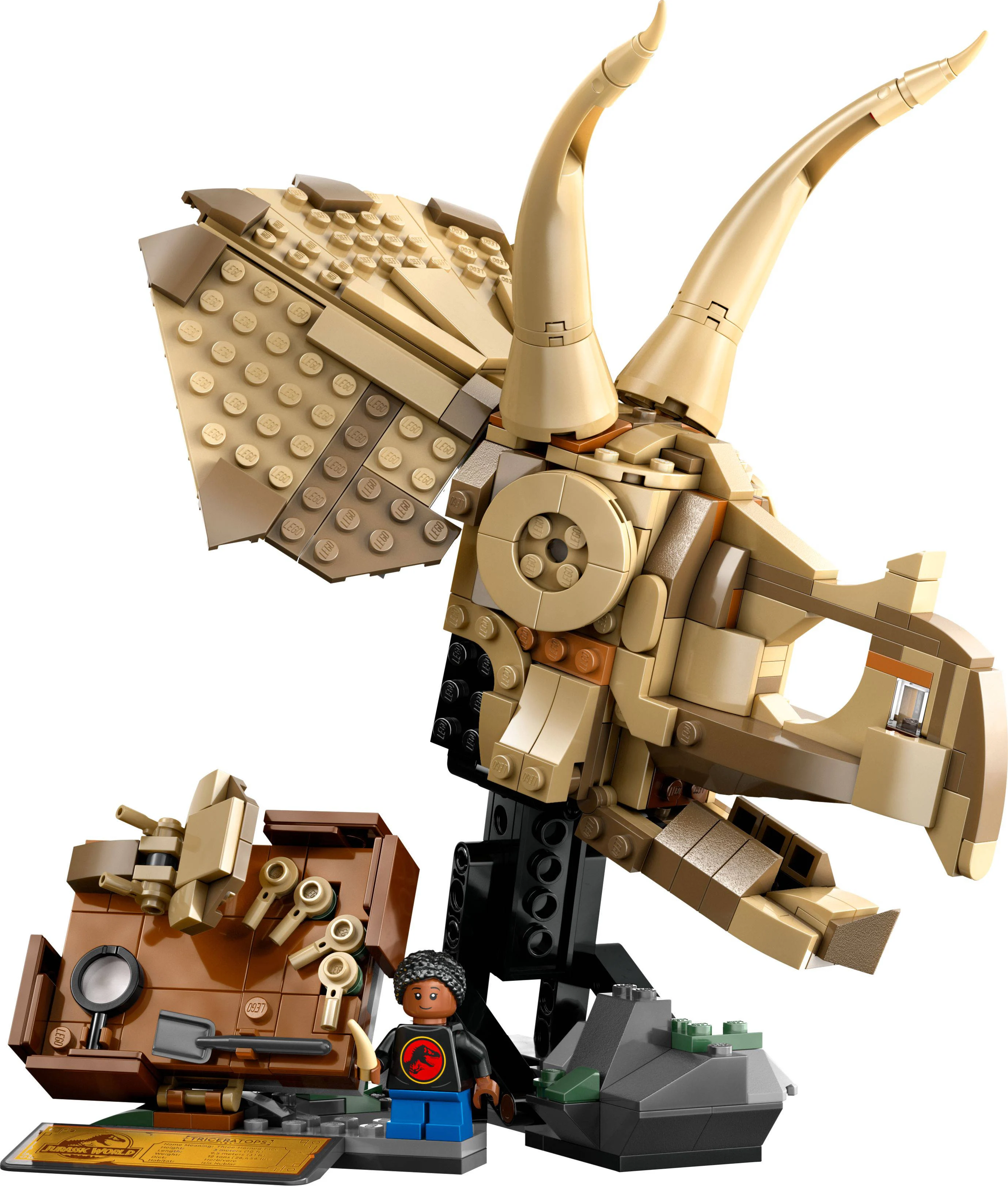 LEGO Dinosaurusfossielen: Triceratops schedel 76969