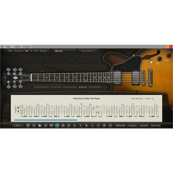 Ample Sound Ample Guitar Hollow II