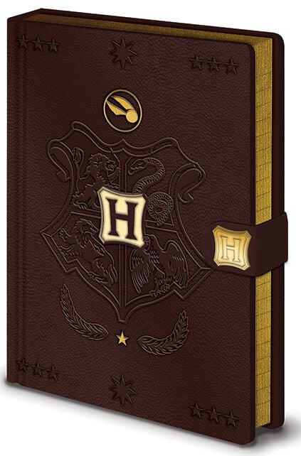 Quidditch - Cahier Premium | Harry Potter Bureau, Carterie & Emballage