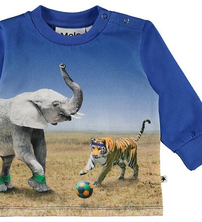 Molo Pullover - Eloy - Go Tiger!