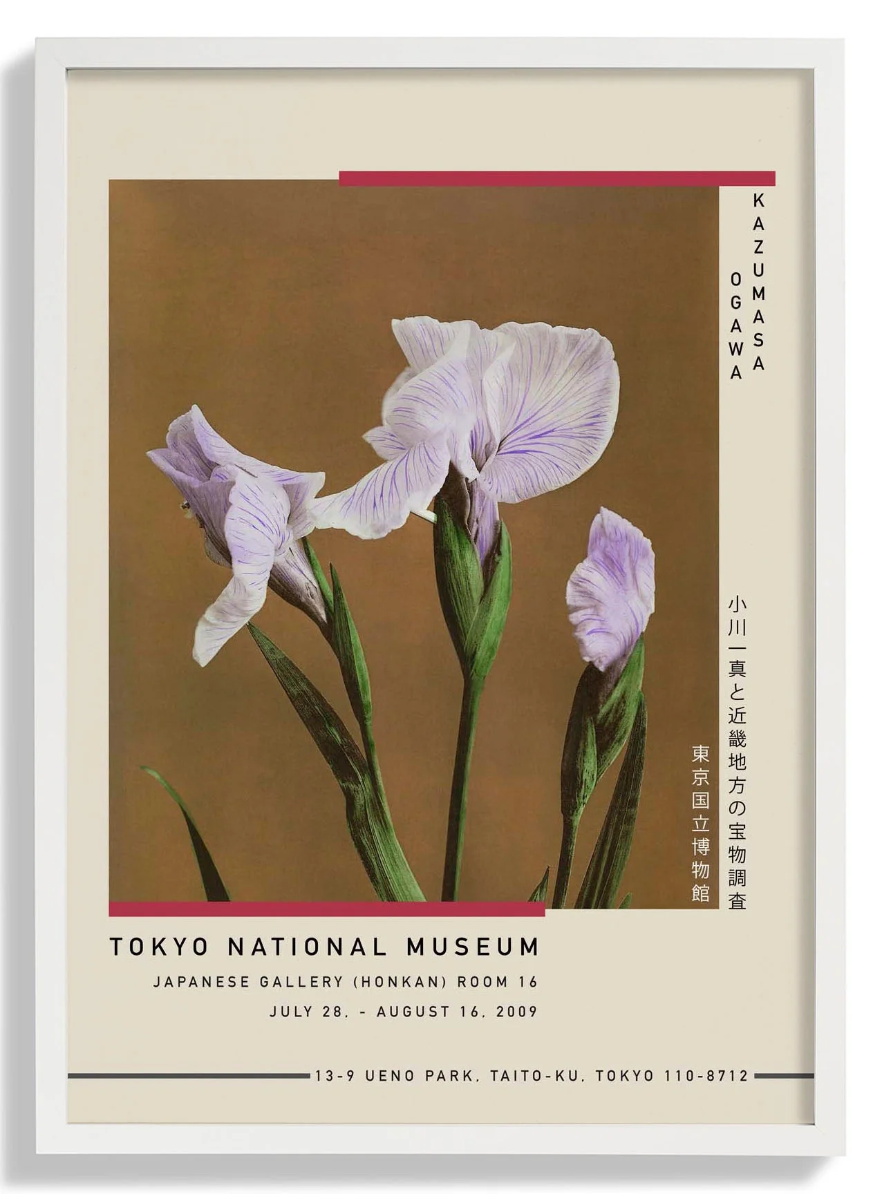 Drei Iris Kæmpferi von Kazumasa Ausstellung