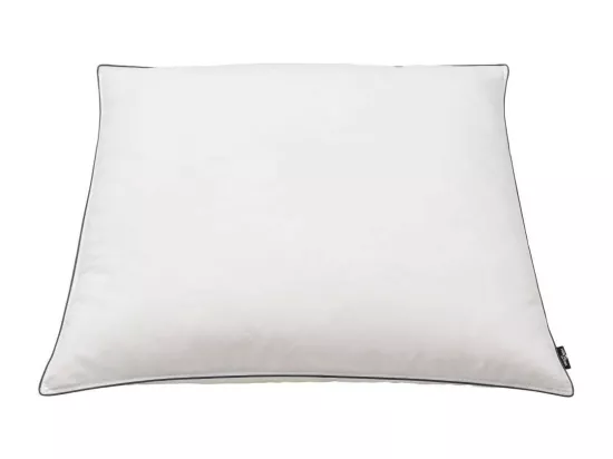 Oreiller 2 pcs Remplissage de duvet 80x80 Blanc