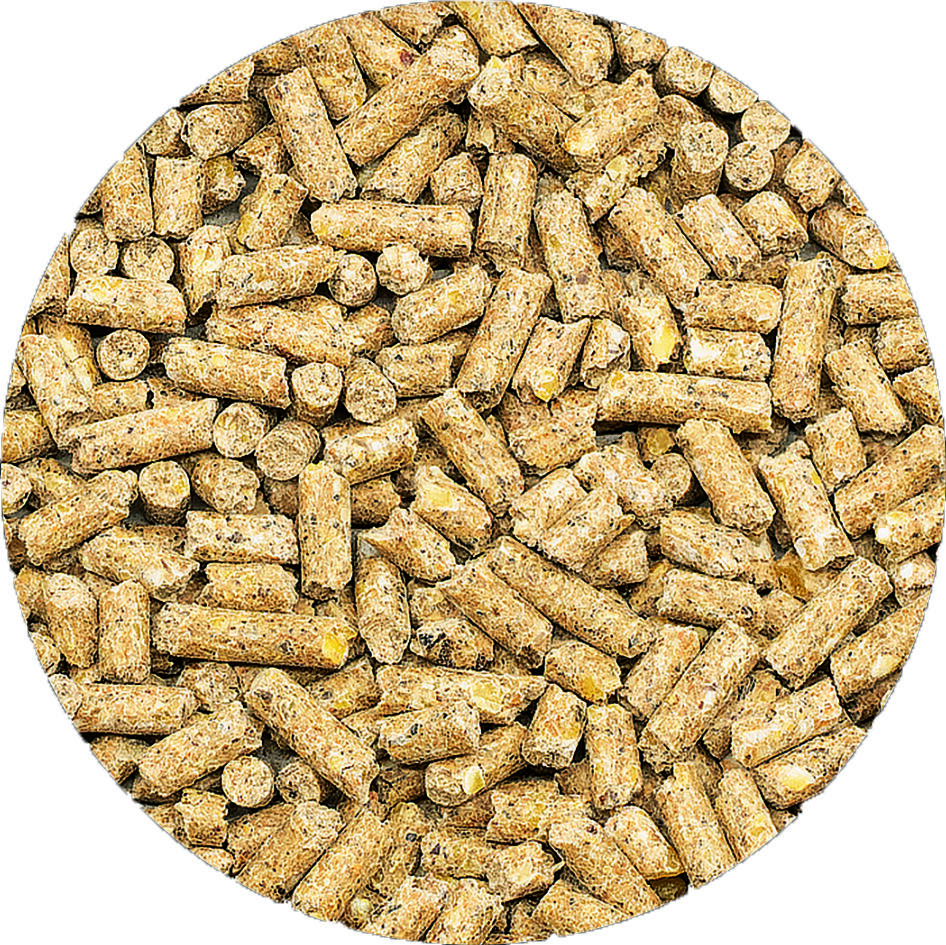 Welkoop Kippenkorrel - Kippenvoer - 12.5 Kilogram