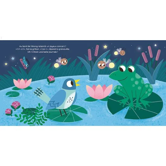 Mon livre son et lumière, Bonne nuit !   de               Larousse