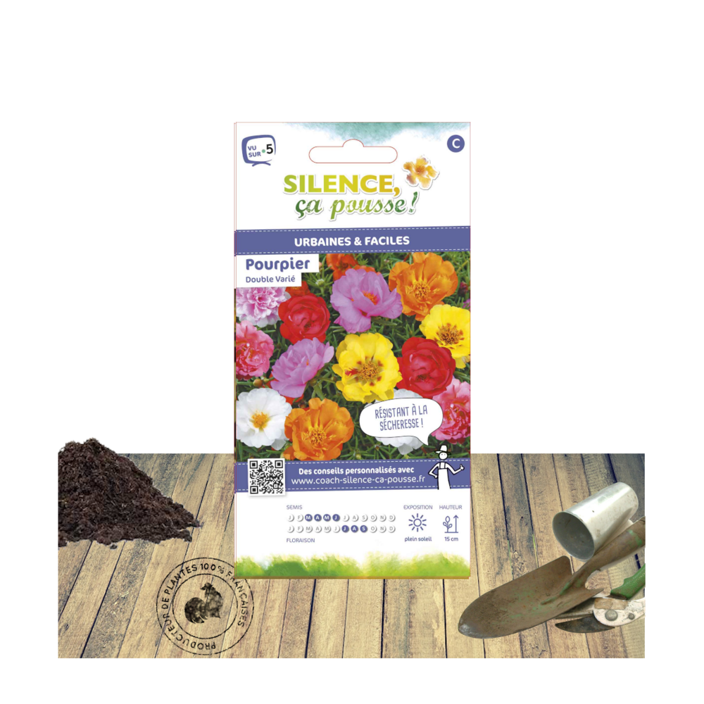 Graines de pourpier double varié/portulaca grandiflora[-]sachet de 1 gr.