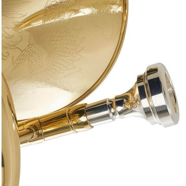 ZO Bb-Travel Euphonium ZEU-800L
