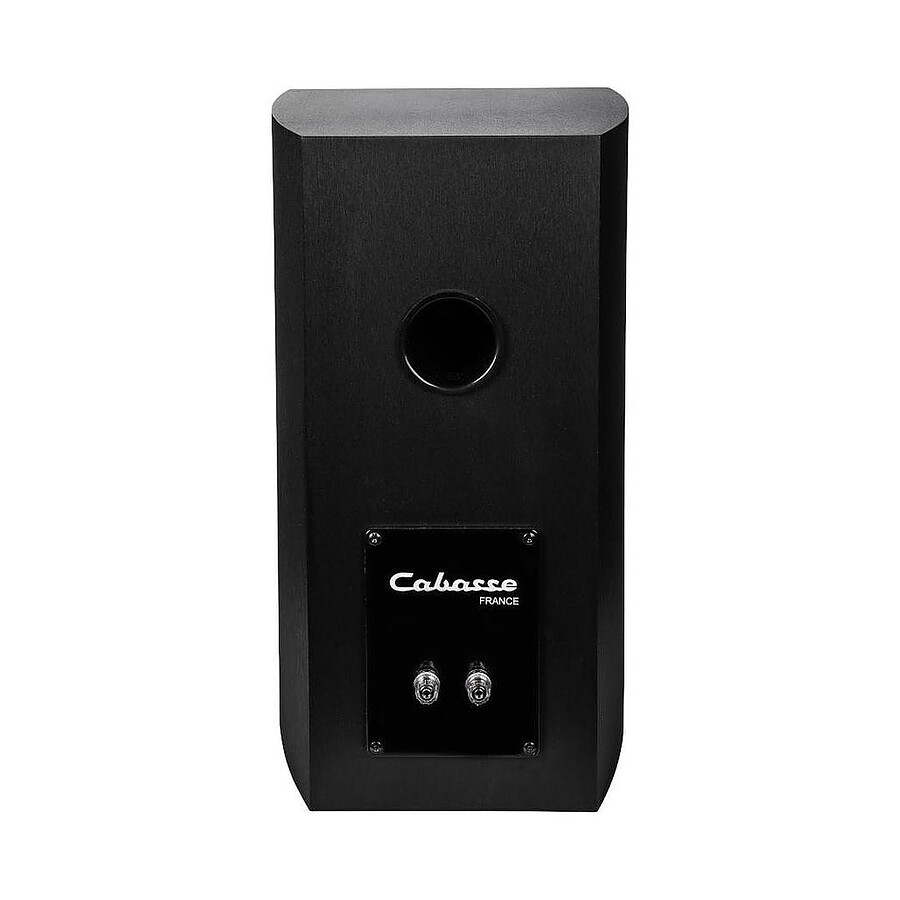 Bluesound Powernode Edge Blanc + Cabasse Antigua MC170 Noir