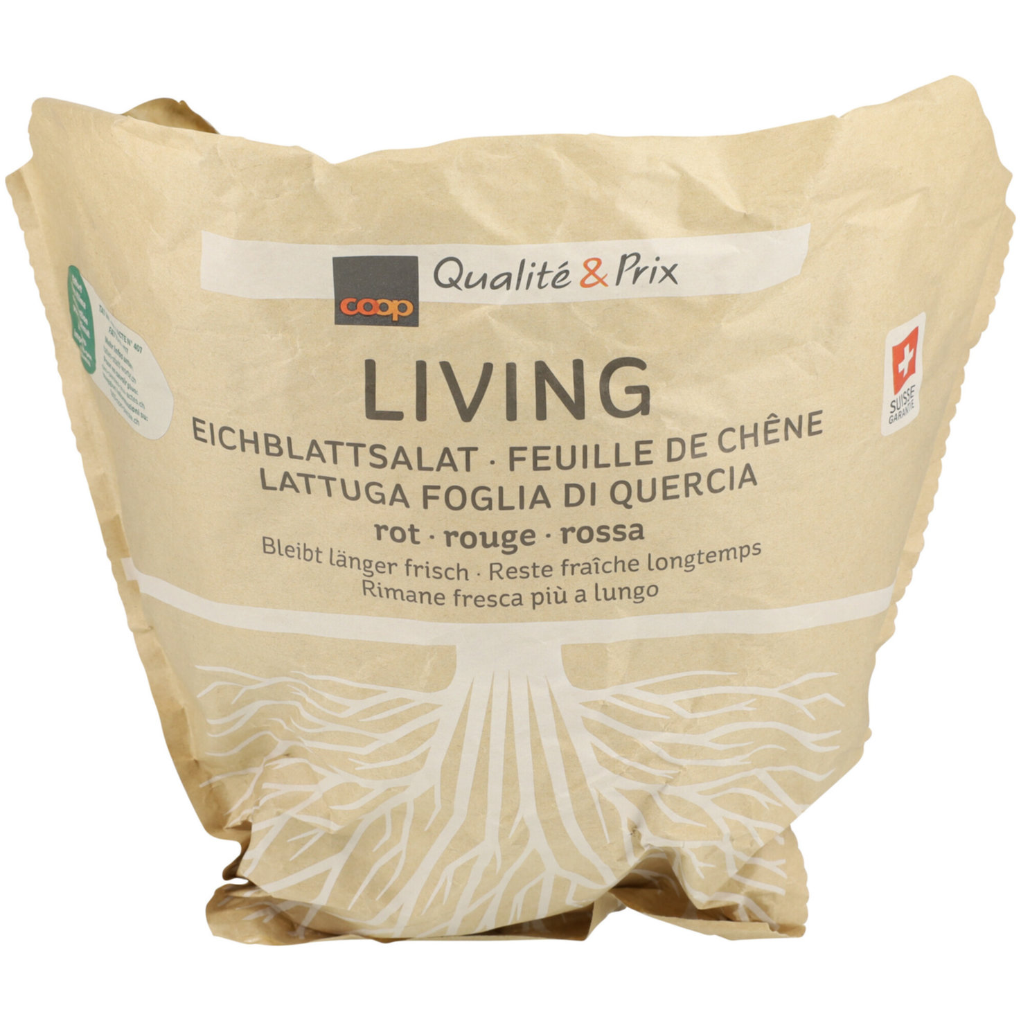 Living Eichblattsalat rot -