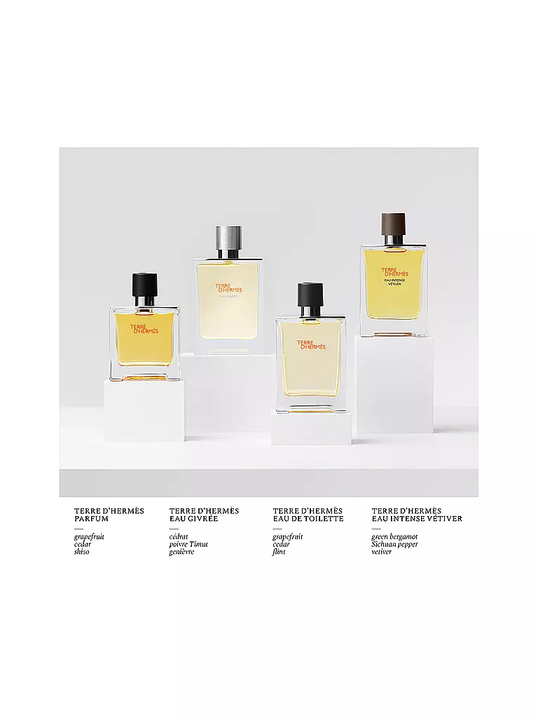 HERMÈS Terre d'Hermès Eau Givrée Eau de Parfum Refillable Spray 50ml keine Farbe