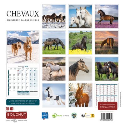 Calendrier illustré BOUCHUT 30 x 30 cm CHEVAL 70 %