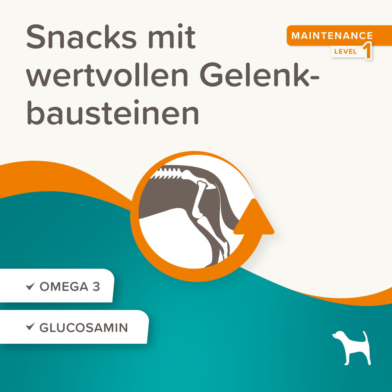 Beaphar Flexifit Snacks Hund 150 g