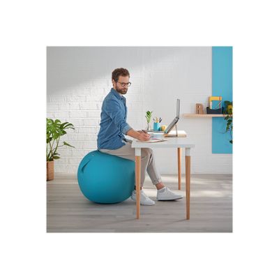 Leitz Ergo Cosy Active - Ballon d'assise - diamètre de 65 cm - bleu calme