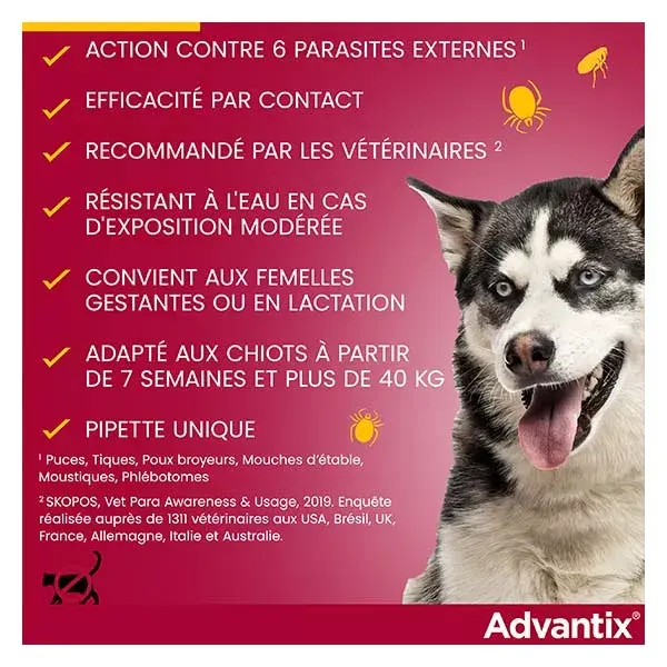 Solução Advantix para controle de pulgas e parasitas em cães de grande porte (40-60 kg) - 6 pipetas