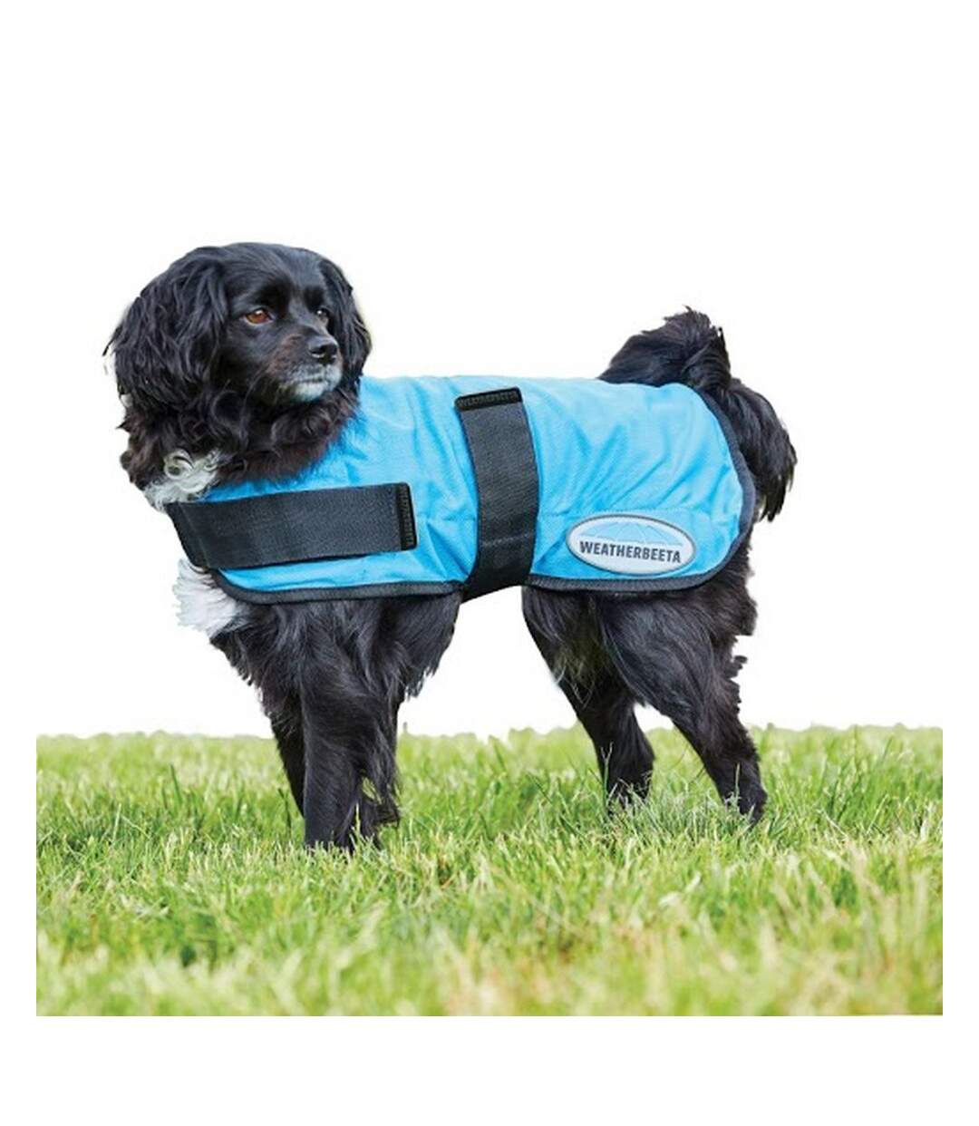Weatherbeeta - Manteau rafraîchissant pour chiens THERAPY-TEC (Bleu) (25 cm) - UTWB1479
