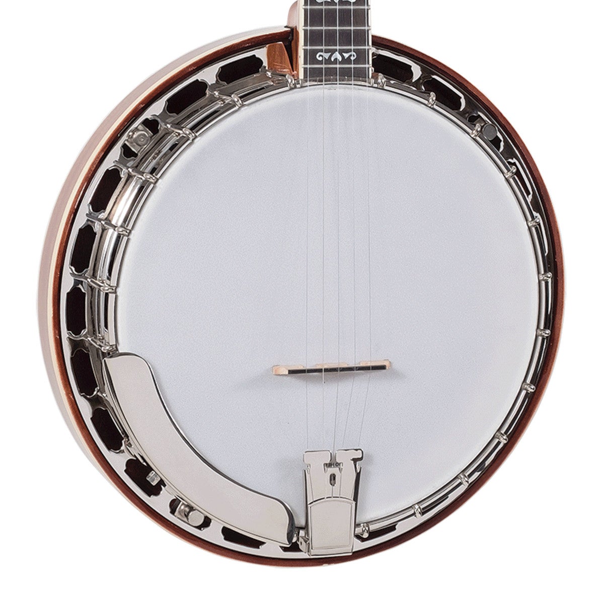 Recording King RK-ELITE-75 Elite Flying Eagle 5-Snarige Banjo met armsteun en luxe koffer