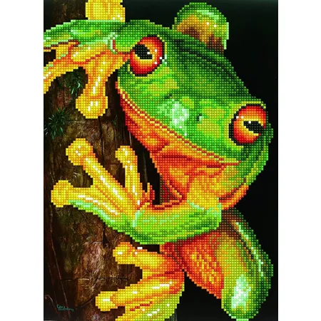 Pracht Green Tree Frog