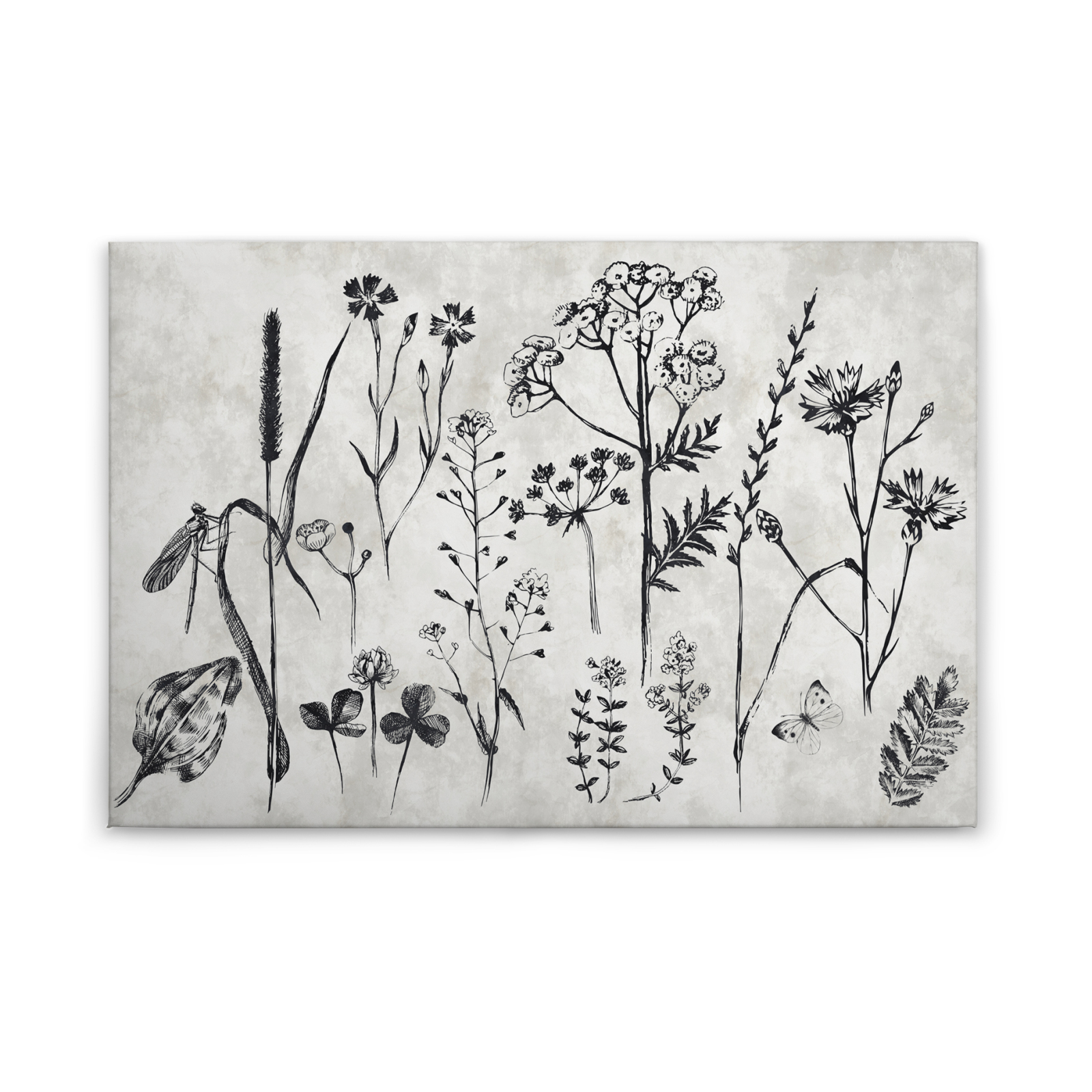 Leinwandbild WILDBLUMENWIESE - grau-schwarz - 90x60 cm