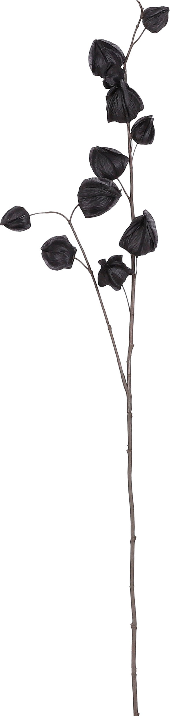 Mica Decorations kunsttak Lampionplant 94 x 17 x 4 cm zwart