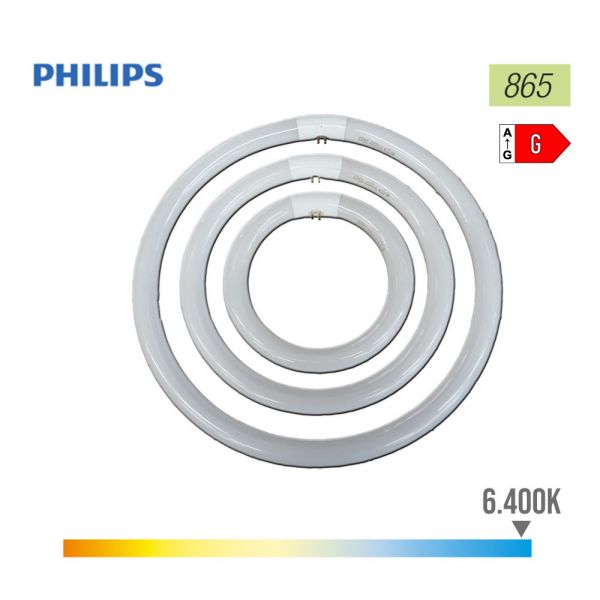 Philips Master Tl-e Circular 22W/865 1CT/12 - 84053700