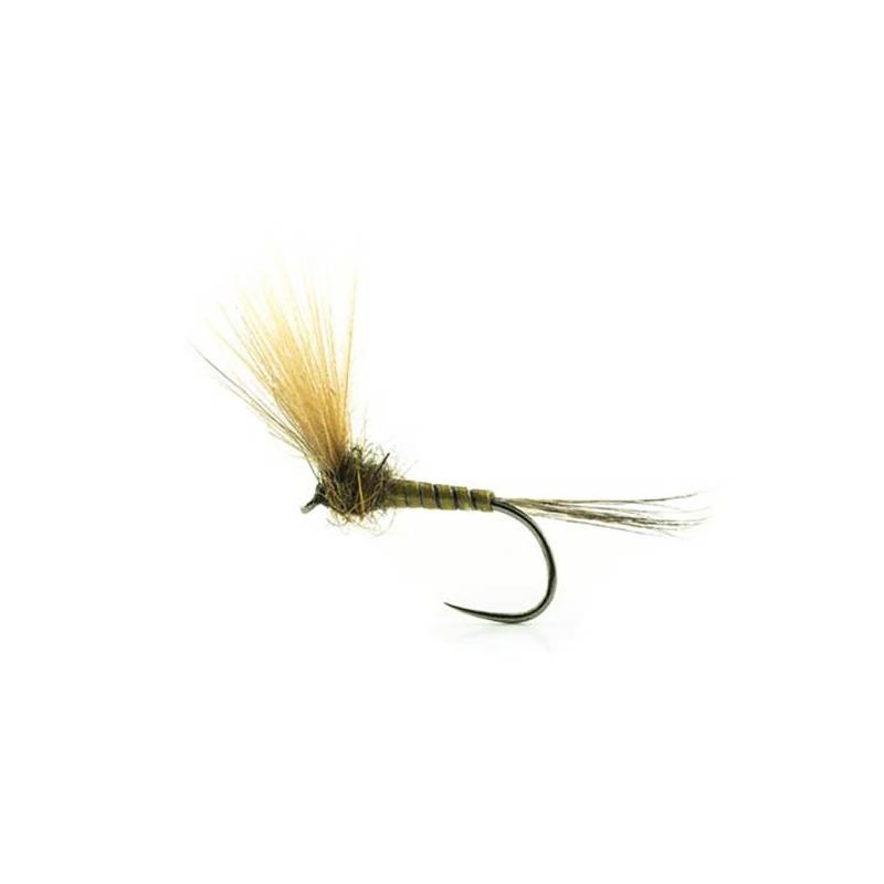 Mouche Devaux Emergente Jbe27
