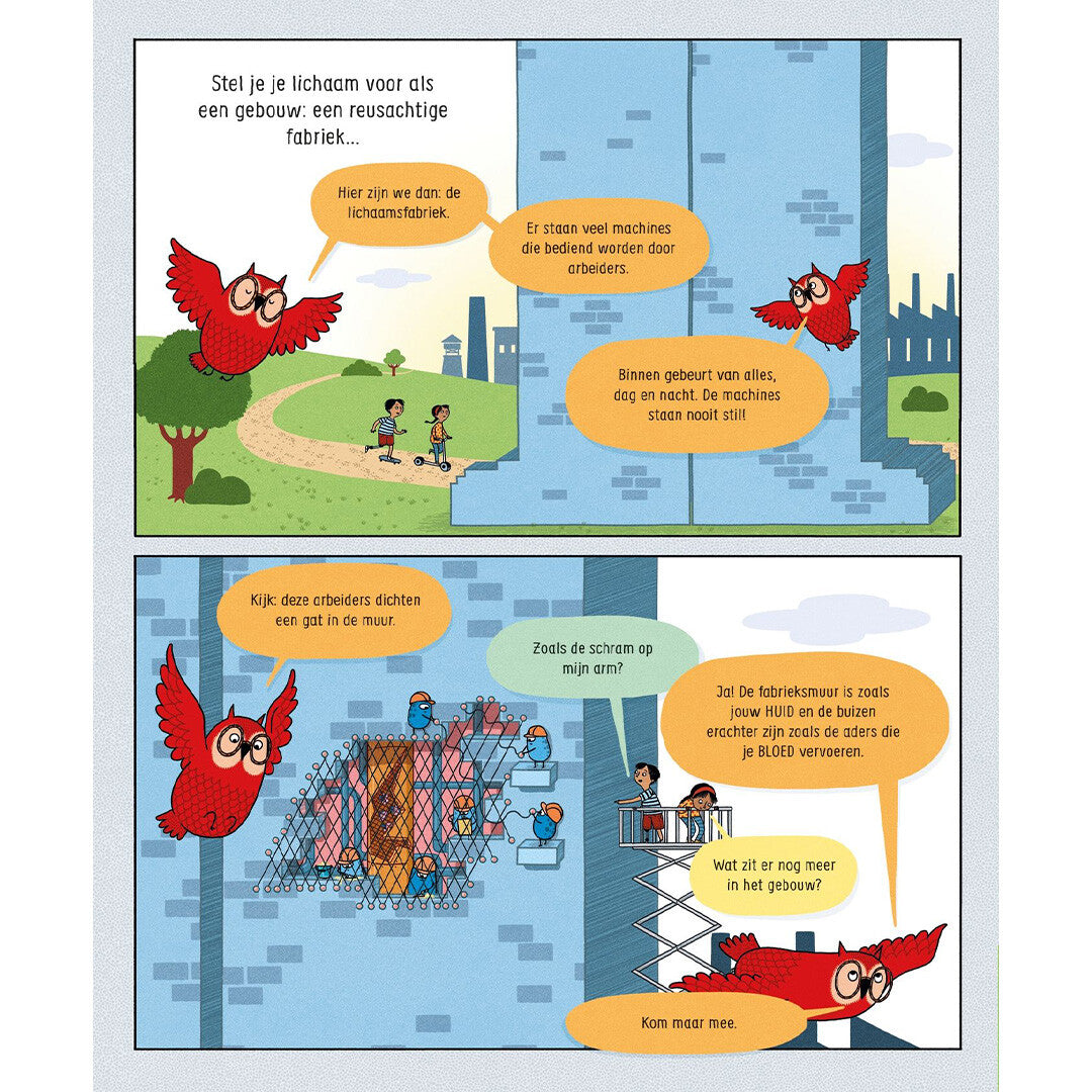 Uitgeverij usborne je lichaam en hoe het werkt