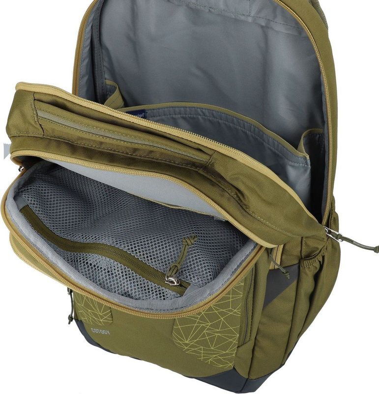 Deuter - Cotogy Backpack - Rugzak - Cactus - 26L - Polyamide Polyester