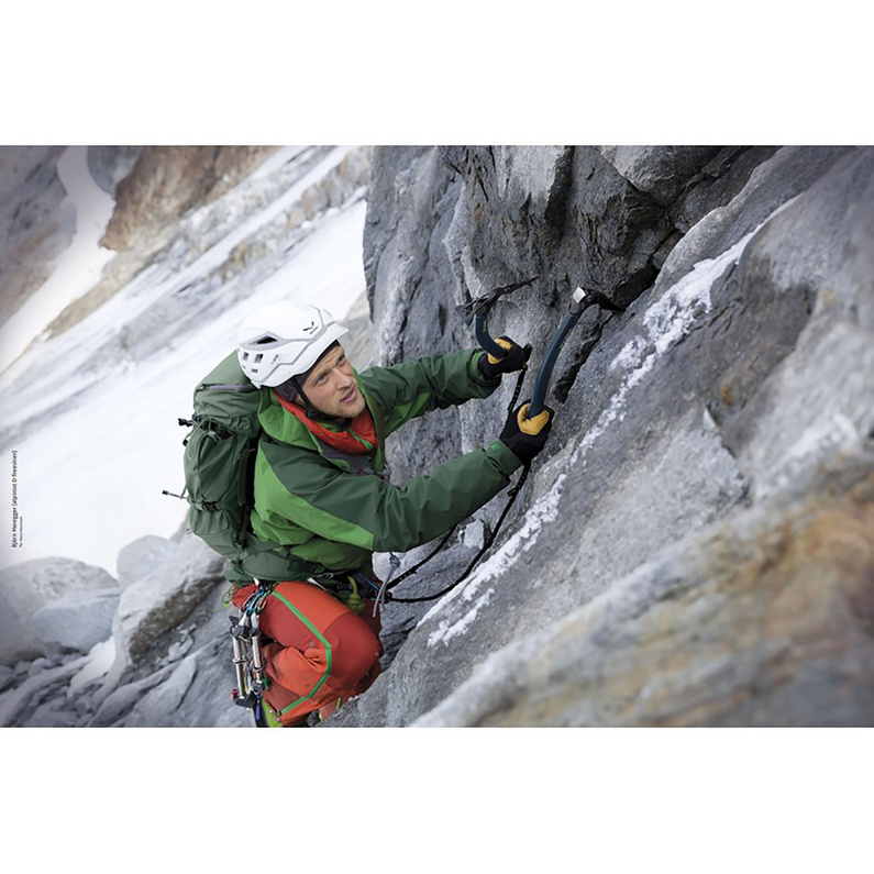 Salewa North-X Eispickel