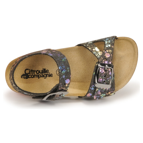 Citrouille et Compagnie - RELUNE - Noir