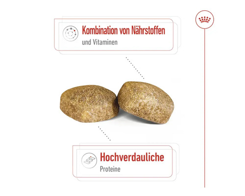 Droog hondenvoer, ROYAL CANIN Giant Adult 15 kg