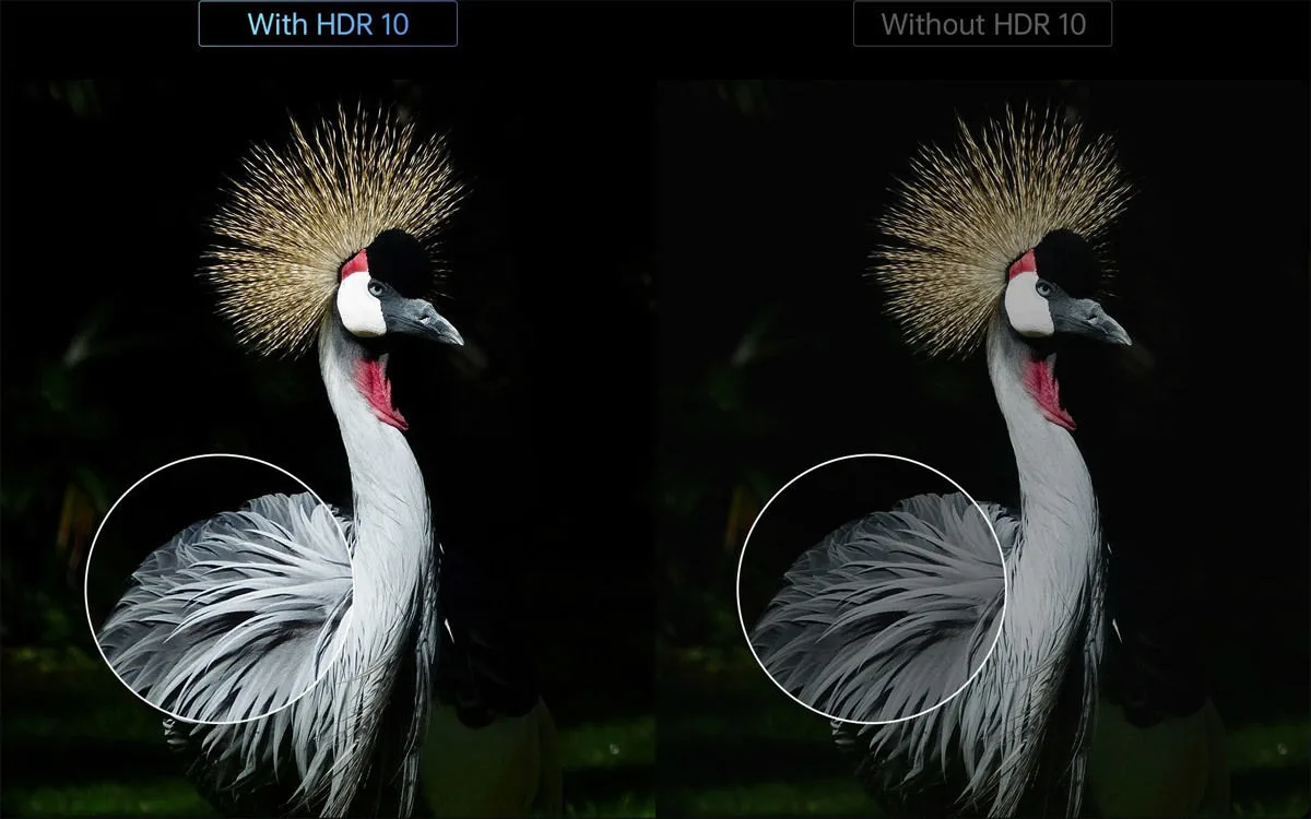 Xgimi Horizon Vidéoprojecteurs