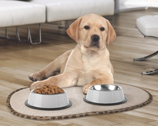 (30x54) Pet Mat Mikrofaser Haustier Matte Rutschfeste Futternapf Unterlage Futtermatte (VHGVACIND0246) - Beige