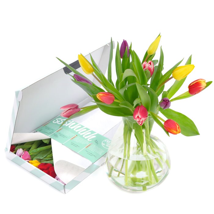 Brievenbusbloemen | Tulpen | Kleurenmix