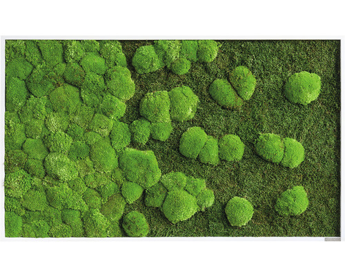 Mosschilderij bos & bolmos 100x60 cm