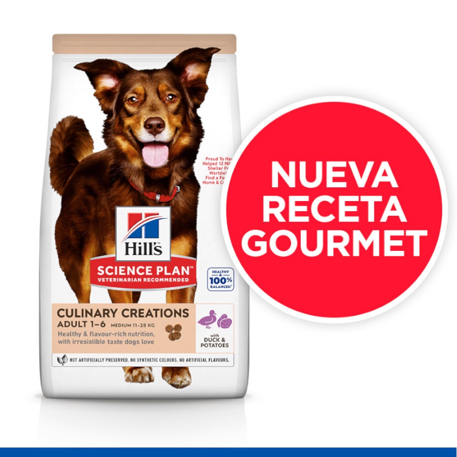Ração Hill's Science Plan Culinary Creations sabor Pato e Batata para cães de porte médio.