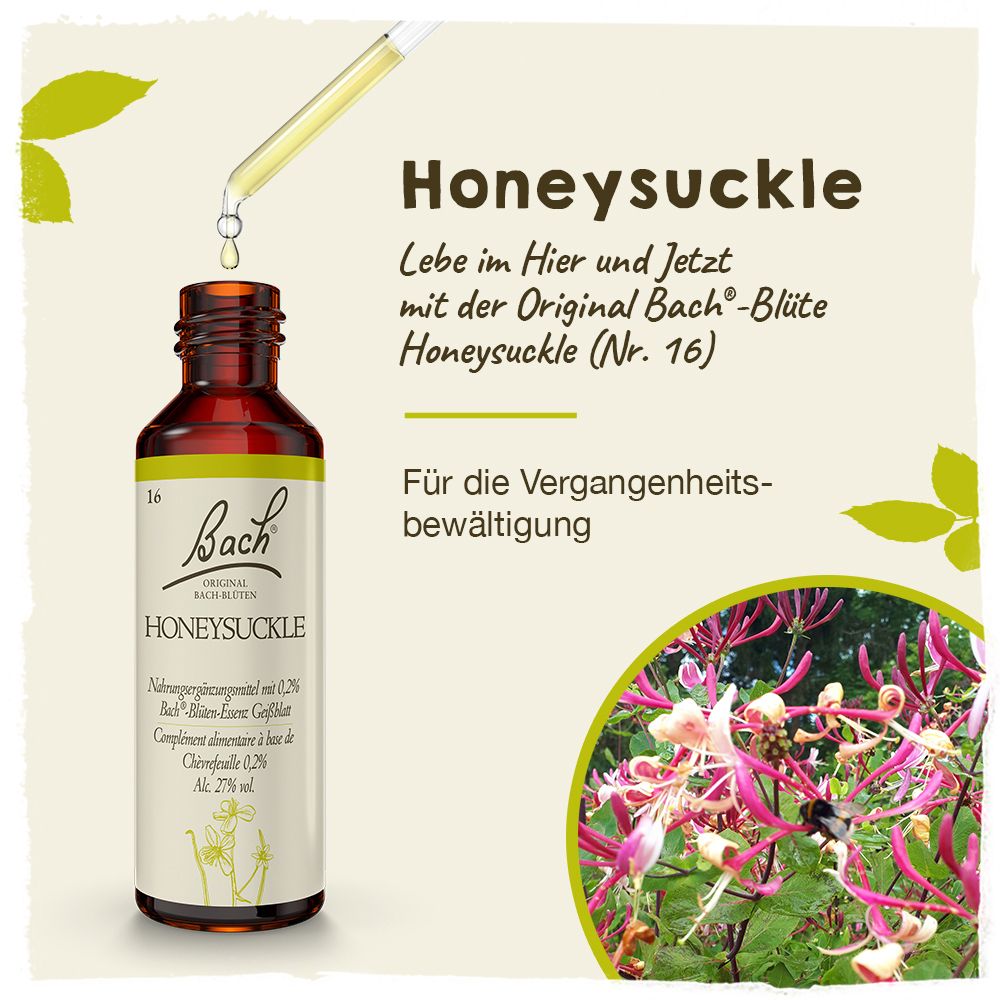 BACH®-BLÜTE HONEYSUCKLE (Geißblatt)