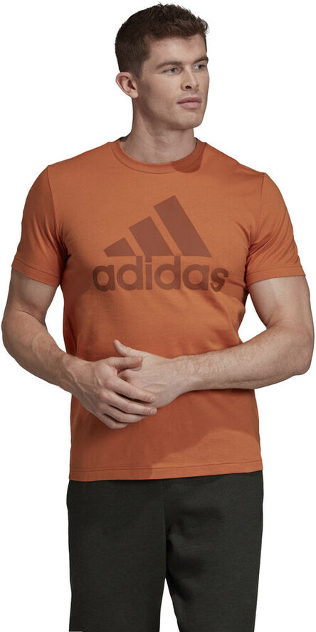 adidas Must Haves Badge of Sport Tee Orange