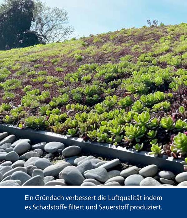 Hörmann Dachrahmen für ein Gründach GH-PD