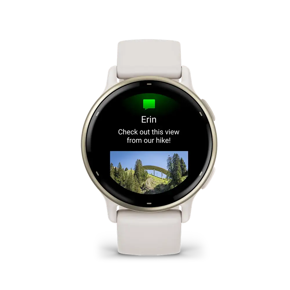 Garmin Vivoactive 5 Wi-Fi GPS Sporthorloge Lichtgrijs/Goud