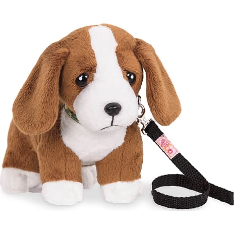 Our generation Basset Hound hvalp