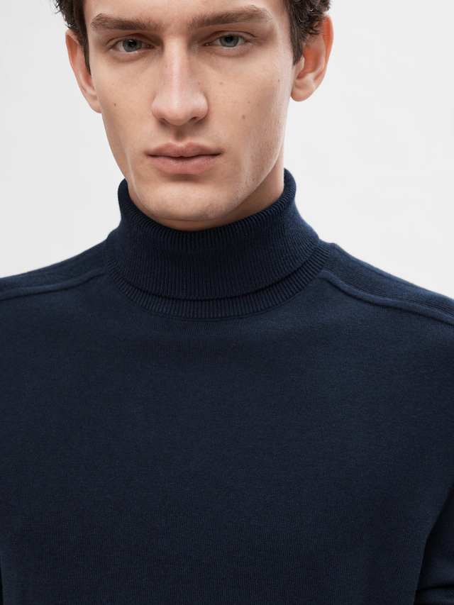 SELECTED HOMME Rollkragenpullover »SLHBERG ROLL NECK NOOS«