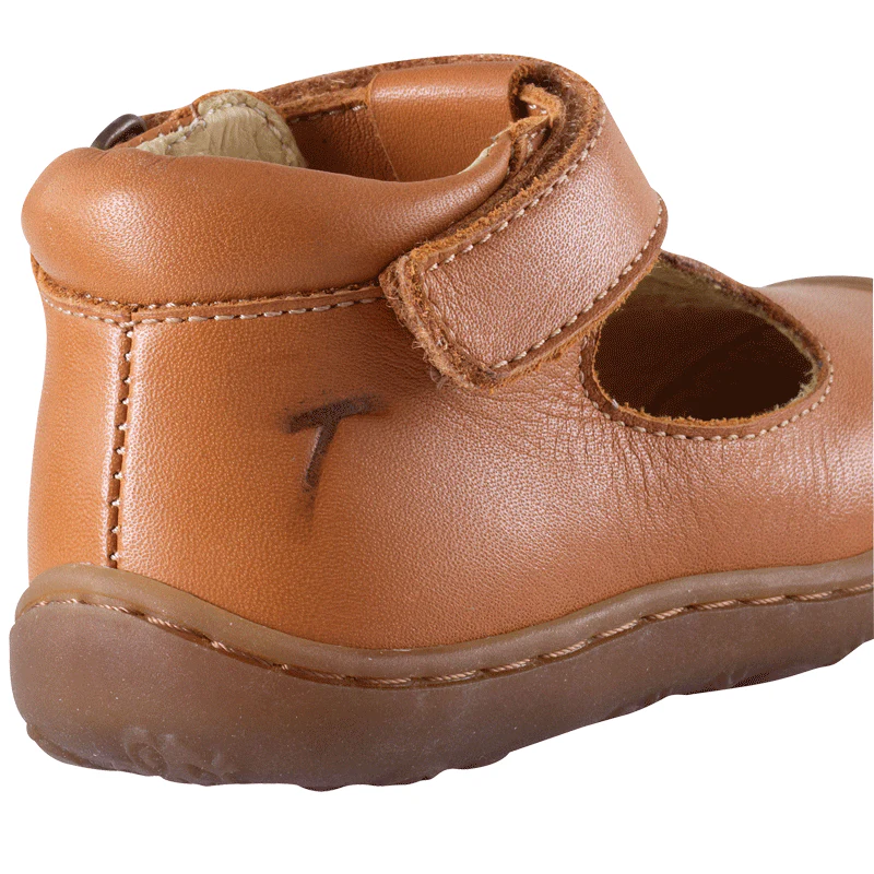 Poppy camel