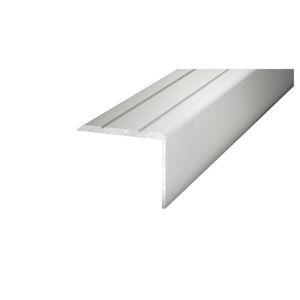 Hoekprofiel 20 mm Rvs 100 cm