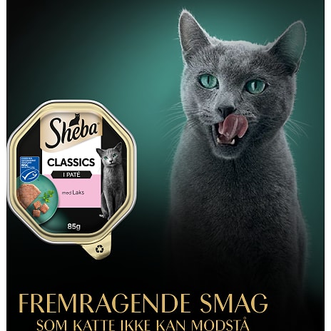 Paté m. laks