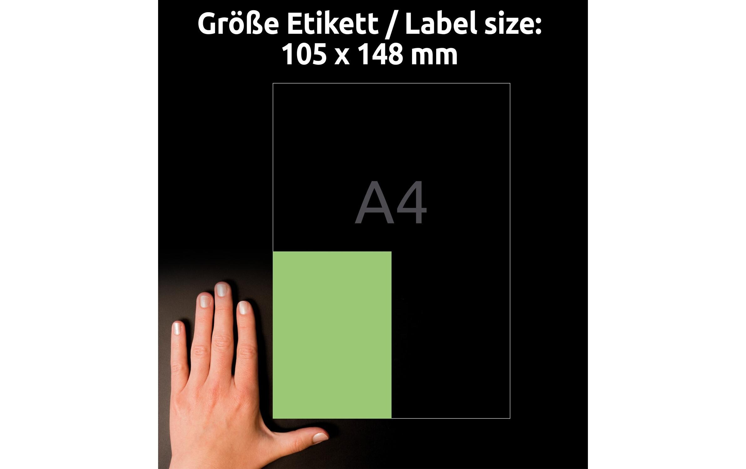 Universal-Etiketten Grün, 100 BlattFarbige Etiketten