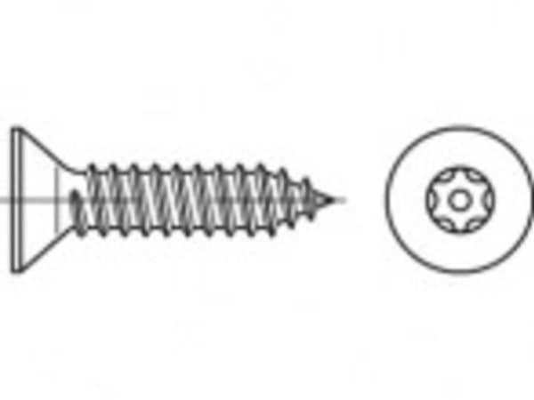 TOOLCRAFT TO-5380185 Sikkerhedsskruer 5.5 mm 63 mm Invendig sekskant 88115 Rustfrit stål A2 100 stk